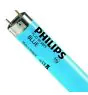 Philips MASTER TL-D 58W - Blue | 150cm